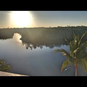 Meet your Posher, Desi